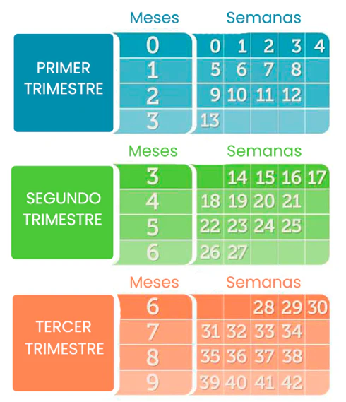 Calendário organizado por semanas