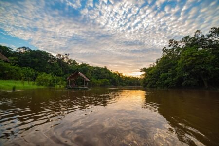 amazonia