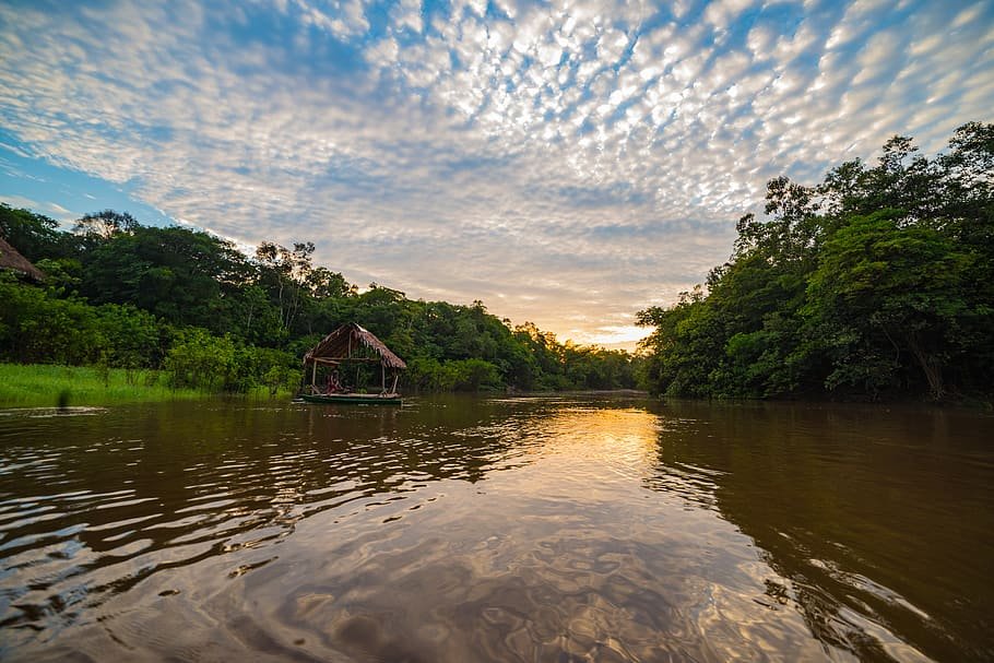 amazonia